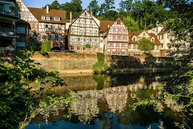 Bild: Vom Schwarzwald nach Holland - Die Holländertannen