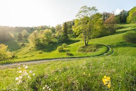 Bild: Das wildromantische Roschbachtal