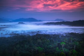 Bild: 2026 horizonte - Multivisionsshows - "Borneo - Überreste eines Paradieses"