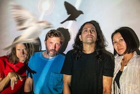 Bild: DEERHOOF - Support: MAGASIN