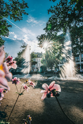 Bild: Einfach anziehend: die Brunnen in Fürth