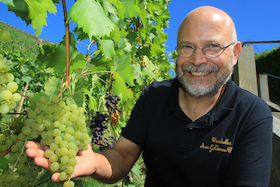 Bild: Kleine Weinbergwanderung - Sonderveranstaltung mit moderierter 5-Weinprobe und Imbiss durch die Radebeuler Weinberge für 4h