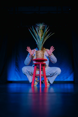 Bild: The Pineapple Commitment