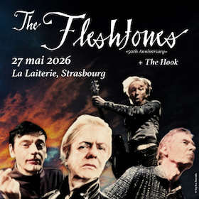 Bild: The Fleshtones  + The Hook