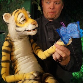 Bild: Tigerwild!