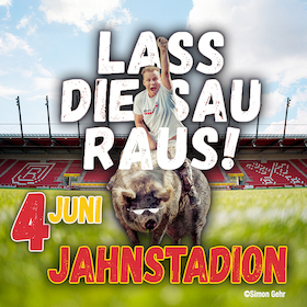 Bild: Lass Die Sau Raus (Tour) !! - Die CALZINGER Stadion - Show!!