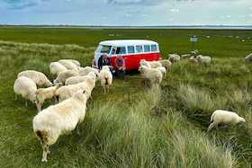 Bild: Bulli Abenteuer - 360° Deutschland