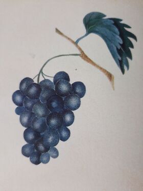 Bild: Es ist die Zeit der Könige nicht mehr