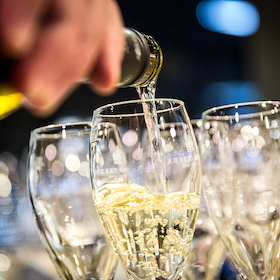 Bild: Edutainment - Küchenquickie Pilze - von krause Glucke bis zum Trüffel