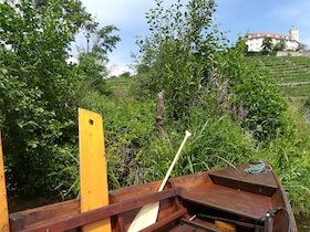 Bild: Kleine Weinkunde - große Genussfahrt - Erlebniswochenende der Region Stuttgart