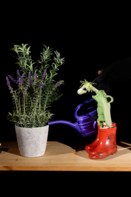 Bild: Als der kleine Koriander kam