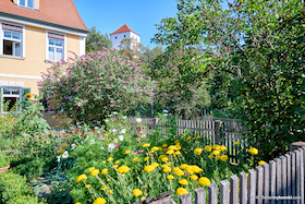 Bild: Gärten und Grün - Gärten und Grün in der Innenstadt