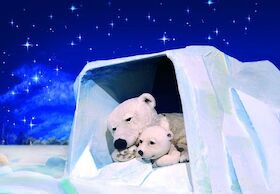 Bild: Der kleine Eisbär