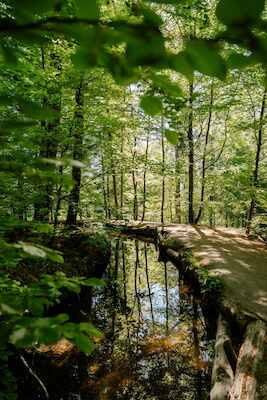 Bild: Wasserbauhistorischer Wanderweg entlang des Stillen Bachs