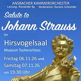 Bild: Salute to Johann Strauss - Ansbacher Kammerorchester - Alexander Ilg
