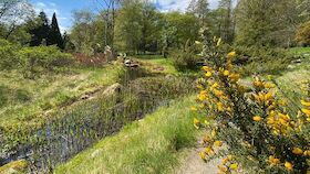 Bild: Workshop: Moore im Topf? Der Weg vom Torf zur nachhaltigen Alternative