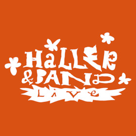 Bild: HALLER - Live in Hamburg
