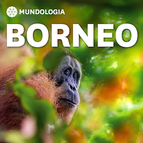 Bild: MUNDOLOGIA: Borneo