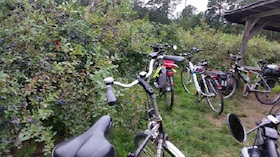Bild: Geführte Fahrradtour mit der Urlaubsregion Ebstorf e.V.