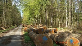 Bild: Geführte Fahrradtour mit der Urlaubsregion Ebstorf e.V.