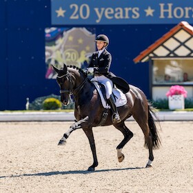 Bild: Horses & Dreams - Tagesveranstaltung Donnerstag