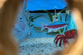 Bild: Workshop Schule der Fantasie: "Unterwasserwelt"