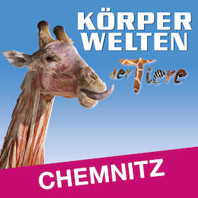 Bild: KÖRPERWELTEN der Tiere | Chemnitz | Flex- / Geschenkticket