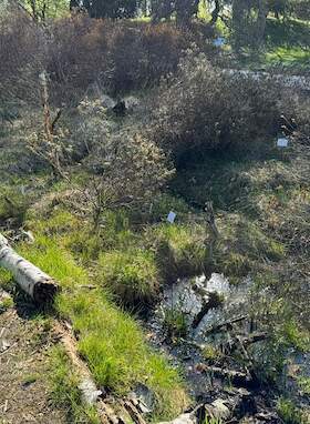 Bild: Führung: Geheimnis Moor – Zwischen Leben, Torf und Tod