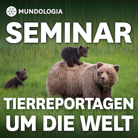 Bild: MUNDOLOGIA-Seminar: Für Tierreportagen um die Welt