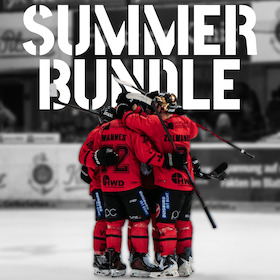 Bild: Das Füchse Summer-Bundle 2026