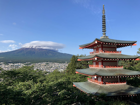 Bild: GRENZGANG - Roadtrip Japan – Zwischen Kulturschock und Kirschblüte