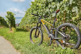 Bild: Über den Bodanrück zum Mindelsee und zurück über Konstanz