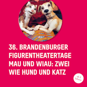 Bild: Mau und Wiau: Zwei wie Hund und Katz