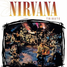 Bild: Tribute To Nirvana  - MTV Unplugged Show