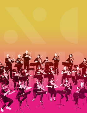 Bild: NCMF: Hanke Brothers Academy Konzert - Violissimo