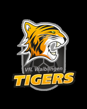 Bild: Rostocker HC - VfL Waiblingen