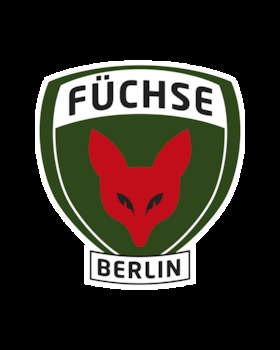 Bild: Rostocker HC - Füchse Berlin