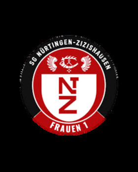Bild: Rostocker HC - TG Nürtingen