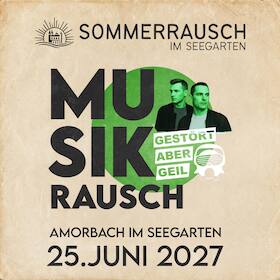 Bild: Musikrausch - Konzerttag