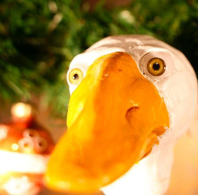 Bild: Die Weihnachtsgans Auguste