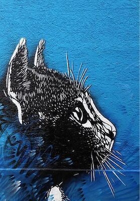 Bild: Mit dem Rad die Stadt entdecken - Street Art - auf diesen Termin verschoben