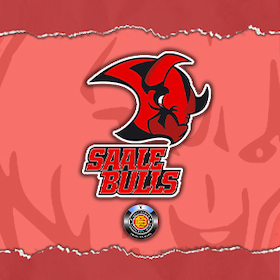 Bild: Hammer Eisbären - Saale Bulls Halle