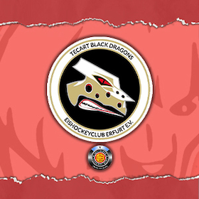 Bild: Hammer Eisbären - TecArt Black Dragons Erfurt