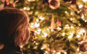 Bild: DAS WEIHNACHTSWUNDER