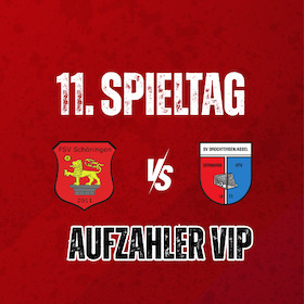 Bild: Aufzahler VIP: FSV Schöningen - SV Drochtersen/Assel