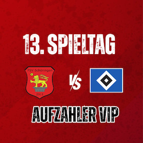 Bild: Aufzahler VIP: FSV Schöningen - Hamburger SV II