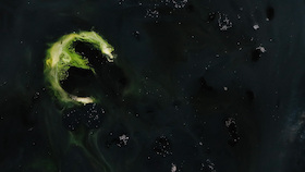 Bild: Trischen