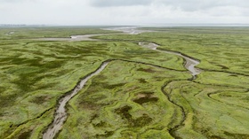 Bild: Deutschlands Naturwunder – Das Wattenmeer