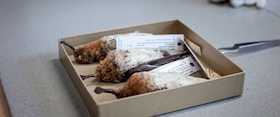Bild: Saving Spoonie