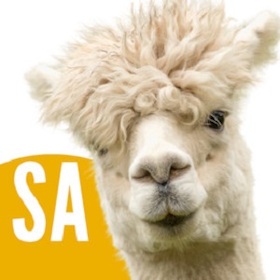 Bild: Nationale Alpaka Show